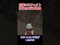 ポケモンSVで色違いエフェクトが消えた本当の理由【ポケモンSV】#shorts