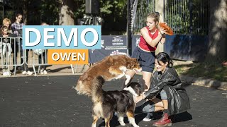 Owen & Olivia - DEMO EN IMPRO À ANIMAL EXPO (Paris) by The flash dogs 491 views 4 months ago 2 minutes, 47 seconds