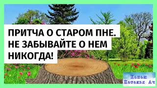 Притча о старом пне. Не забывайте о нем никогда!