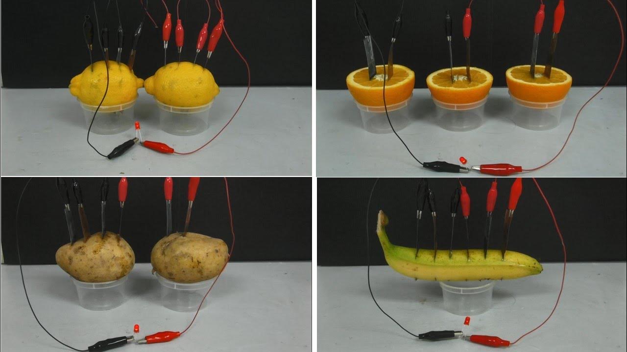 Fruit & Vegetable Battery - YouTube