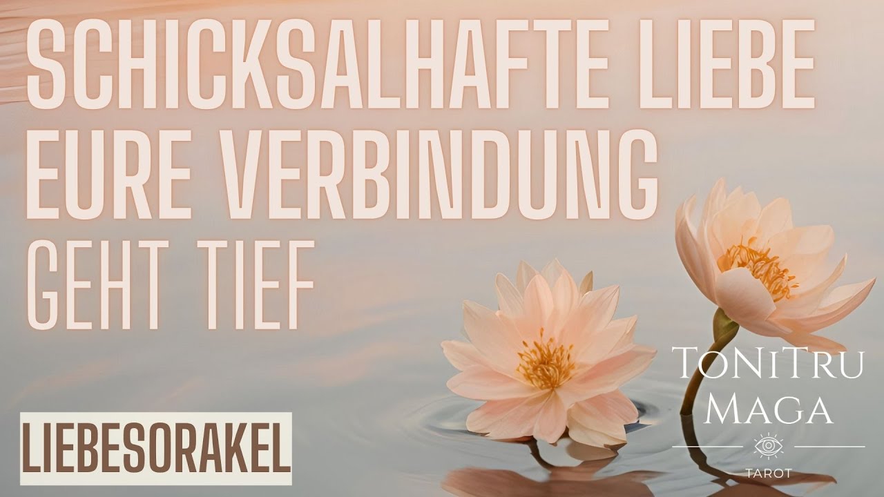 💔 Eine Liebe, die niemals vergeht | Ihr träumt voneinander | Kontaktpause mit Tiefe 💫