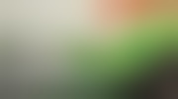 Introduction to Tissue Culture