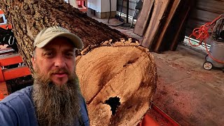 Need Lumber? My Secret On Finding FREE Logs: Easy $$$