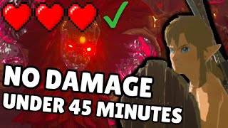 Breath of the Wild but I take NO DAMAGE and I go pretty fast