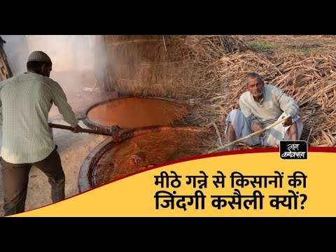employment news tamilnadu मीठे गन्ने से किसानों की जिंदगी कसैली क्यों ? | Trouble for sugarcane growers