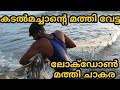 Azheekal beach Fishing how to catch sardine in kerala |Fishing kadalmachan vishnu azheekal #sardine