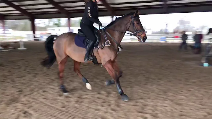 Erin Liedle & Boodle - Sinead Clinic Day 1