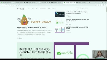 Opening-report: Wechaty-Puppet-Walnut
