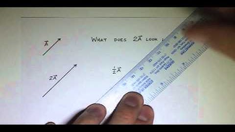 Multiplying a Vector by a Scalar 01
