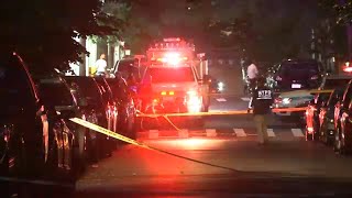Woman walking with baby stroller shot to death in Manhattan