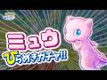 ポケスリ ミュウで初めてのひらめきガチャ 最強のミュウを作ろう ゆるゆる雑談配信 初見さんもコメントも大歓迎 ポケスリ ミュウで初めてのひらめきガチャ 最強のミュウを作ろう ゆるゆる雑談配信 初見さんもコメントも大歓迎