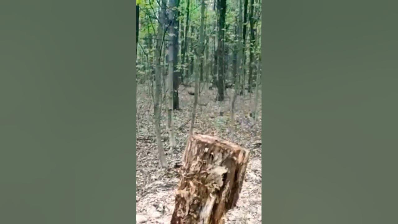 homemade potato thrower... YouTube