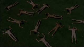 destricted - trailer