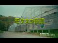 苔祭公式テーマソング「モケスコ音頭 feat. 塩山の残党」