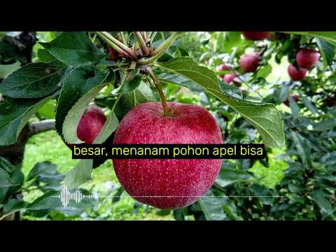 Video: Zona 9 Varietas Pohon Buah: Buah Apa yang Tumbuh Di Wilayah Zona 9