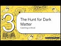 Dark matter interactions