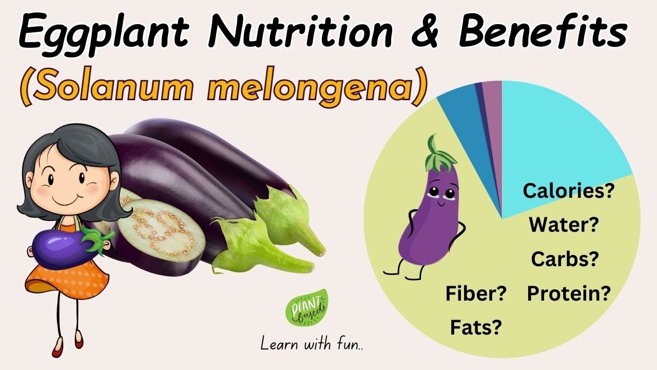 Eggplant Solanum Melongena Eggplant Nutrition And Benefits About eggplant-solanum-melongena-eggplant-nutrition-and-benefits-about