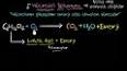 Karbonhidratlar: Hücrelerin Enerji Kaynakları ile ilgili video