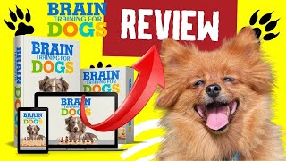 ?BEWARE?BRAIN TRAINING FOR DOGS? Adrienne Farricelli REVIEWS Official Website doglove dogs dog