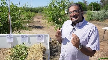 Rainfall Simulator - A Soil Health Demonstration
