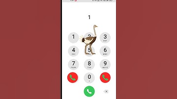 EP.30/4 Do-Re-Mi on IPhone📱☎️📞 keypad #shorts #iphone #funny #memes