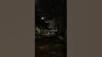 "آخر آية نزلت من القرآن | تلاوة خاشعة لقول الله: ﴿واتقوا يوماً ترجعون فيه إلى الله﴾"