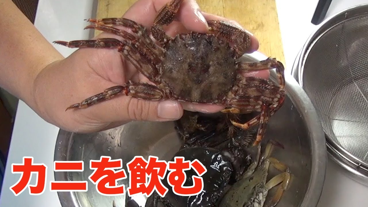 Strength is power] Crush the crab and drink it - YouTube