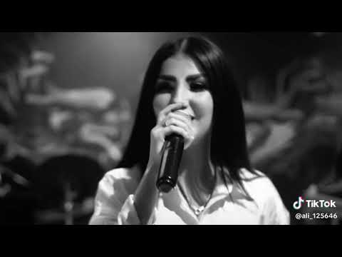 اها اها اها سدي يركب طيارة