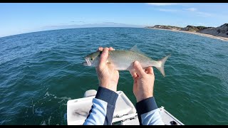 Trolling for Tailor off Bunbury Beach