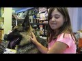 Dog Obedience Group, Wallkill, NY 845-430-1764 Dog Obedience Group, Wallkill, NY 845-430-1764