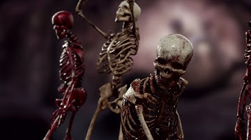 Human Skeleton 3d model