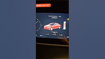 #tesla #100D #review