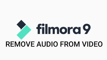 How To Remove Music From Video In Filmora 9 Tutorial