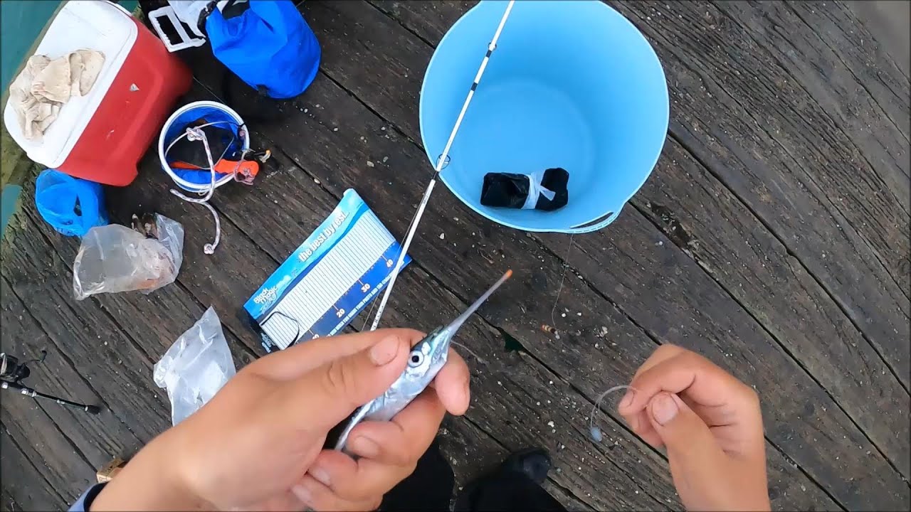 Early morning Wharf Fishing Success (NZ Wharf Fishing)
