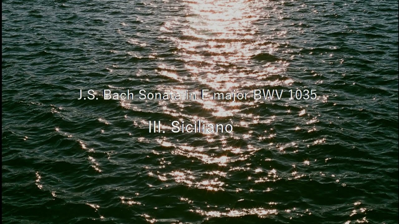 J.S. Bach: Flute Sonata in E major, BWV 1035, III. Siciliano