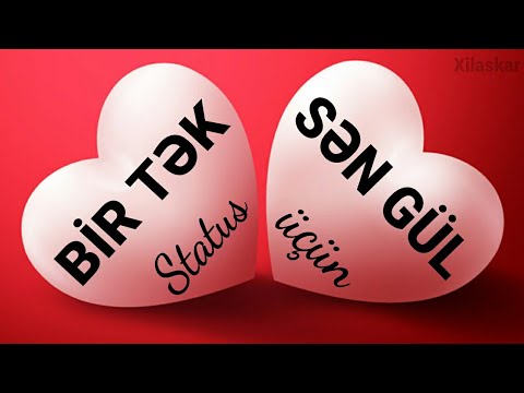 Bir tək sən gül - Status üçün çox gözəl bir video