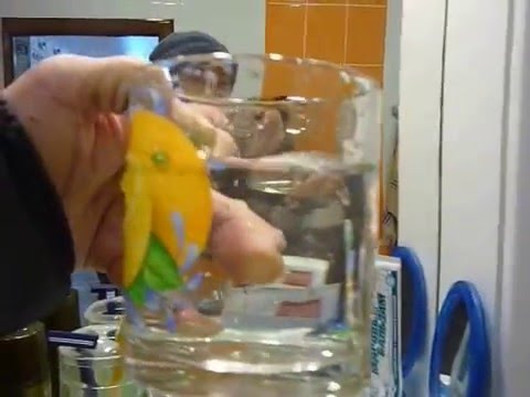 Коттедж Александровский тракт 5 км г. Иркутск Коттедж Александровский тракт 5 км г. Иркутск