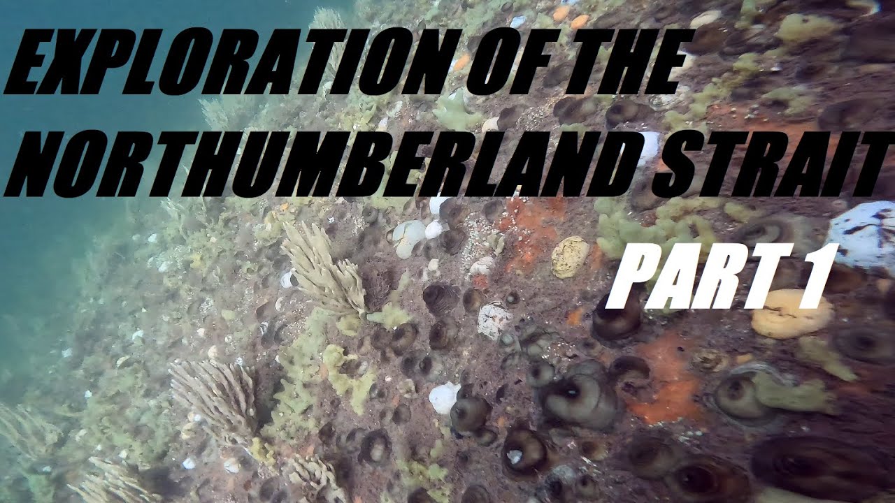 Exploration of the Northumberland strait *Part 1 - YouTube
