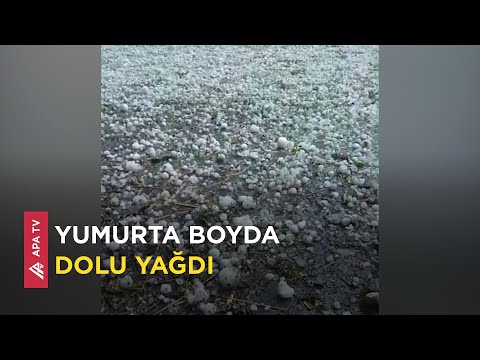 Oğuzun kəndlərinə dolu düşdü - APA TV