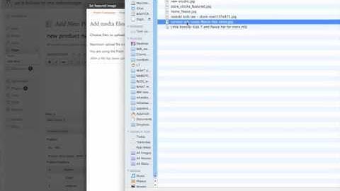 Wordpress - adding a product with eShop