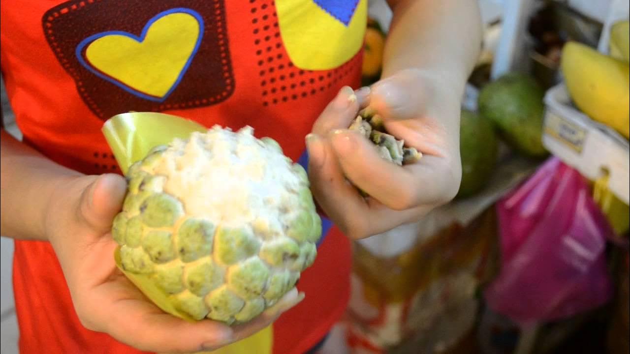 Сахарное яблоко во Вьетнаме - YouTube