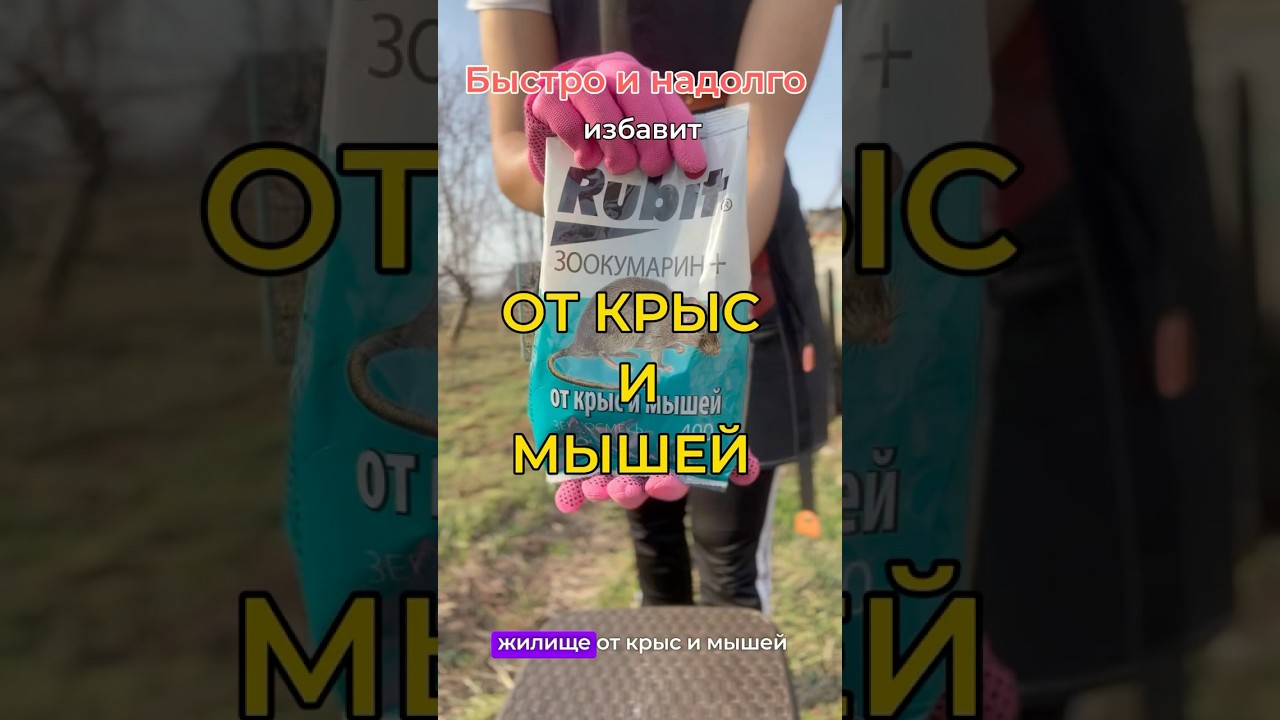 Рабочее средство от крыс и мышей #дачасадогород #сад #огород #дачныесоветы #дачныедела #дача