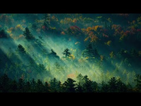 Full Moon Meditation