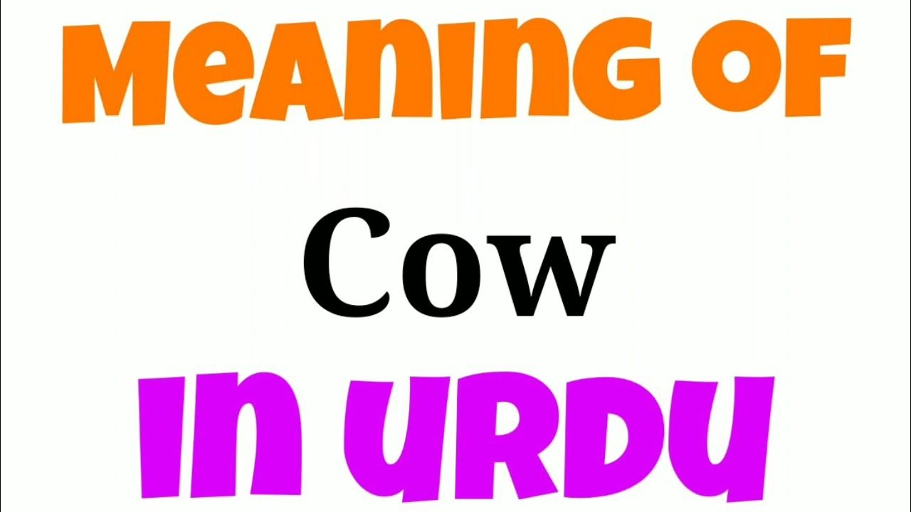 cow-ko-urdu-mein-kya-kahate-hai-cow-ko-urdu-mein-kya-bolate-hai-cow