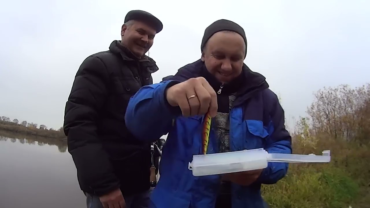 Цвет gan нексия