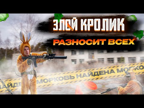 Видео: Злой Кролик РАЗНОСИТ ВСЕХ! Страйкбол / Airsoft