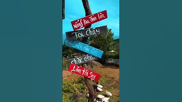 Đồi cừu Đà Nẵng qua lăng kính camera của khách Tây!  #doicuudanang