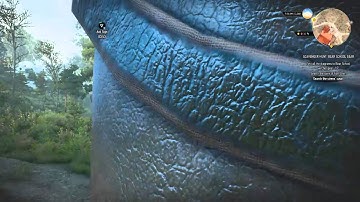 The Witcher 3 - First Person Bug