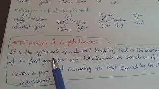 Full The principle of complete dominance( الصف الثالث الإعدادي لغات) Guide