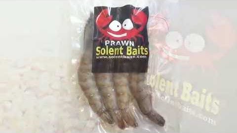 Solent Baits King Prawn Sea Fishing Bait